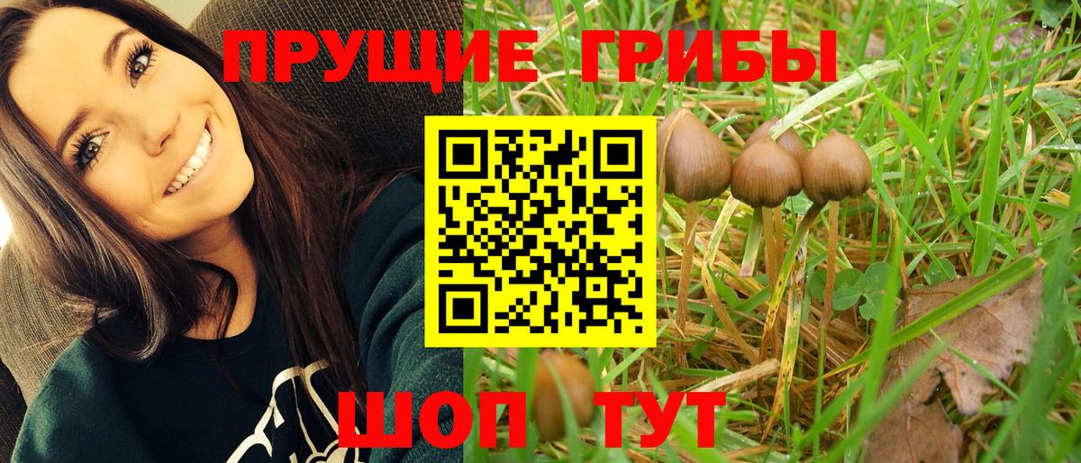 Галлюциногенные грибы MAGIC MUSHROOMS Отрадный
