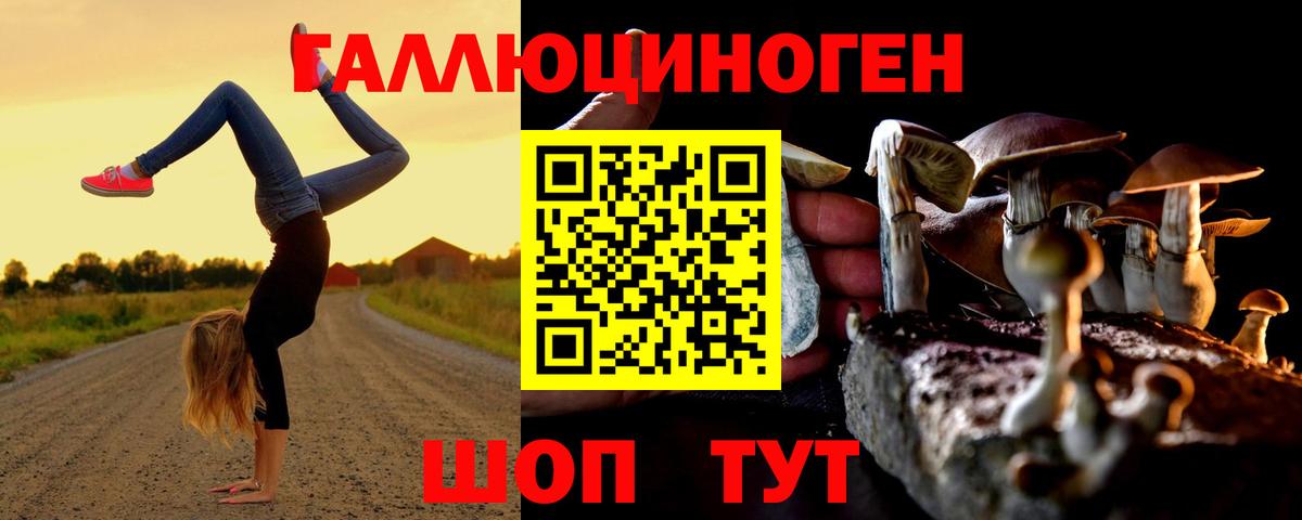 Псилоцибиновые грибы MAGIC MUSHROOMS  где можно купить наркотик  Отрадный  Вход с VPN 